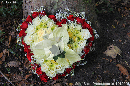 Image of heart shaped sympathy arrangement