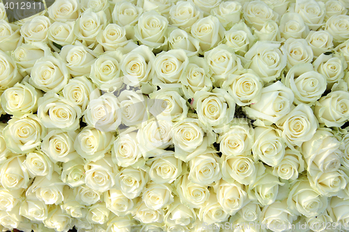 Image of Group of white roses, wedding decorations