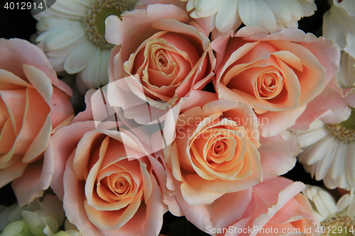 Image of Pink wedding roses