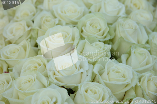 Image of Group of white roses, wedding decorations