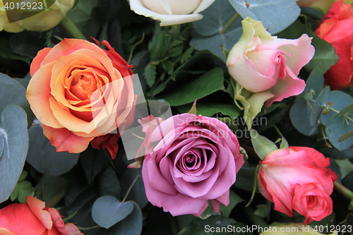 Image of Multicolor rose arrangement