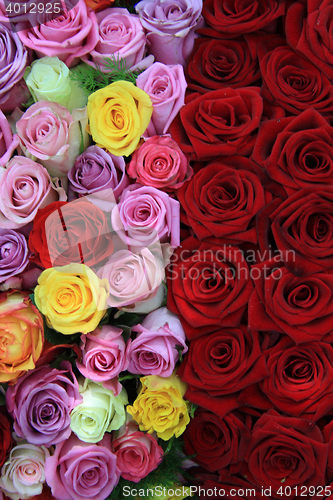 Image of Mixed roses