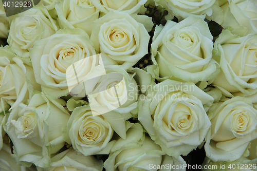 Image of Group of white roses, wedding decorations