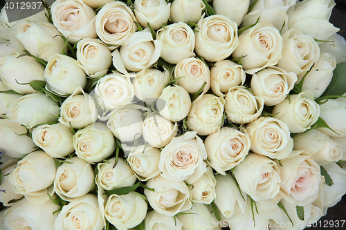 Image of Group of white roses, wedding decorations