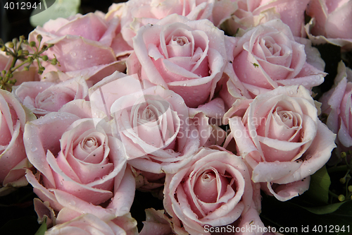 Image of Wedding bouquet close up: pink roses