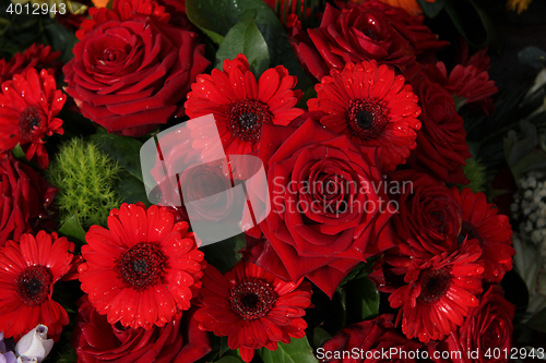 Image of Red roses and gerberas