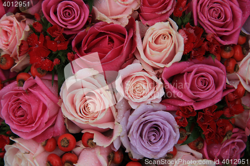 Image of Bridal roses in pink and purple