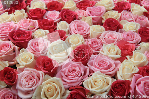 Image of White and pink roses in arrangement