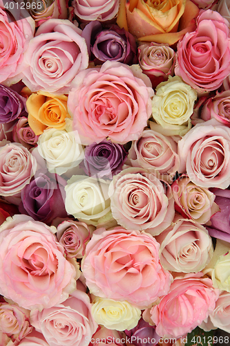 Image of Mixed pastel roses