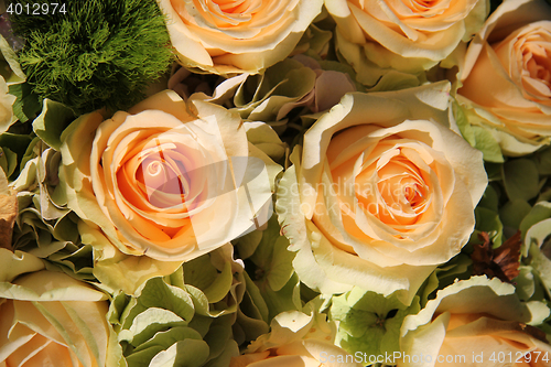 Image of Pale pink bridal flowers