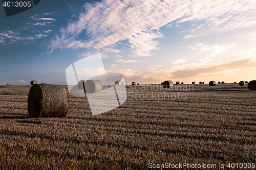 Image of harvested field with straw bales in summer