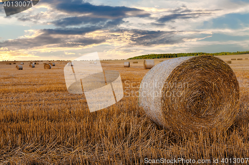 Image of harvested field with straw bales in summer