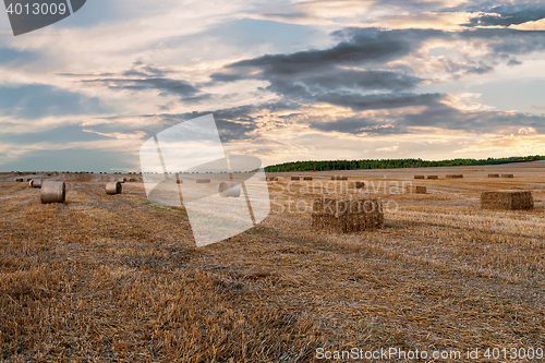 Image of harvested field with straw bales in summer