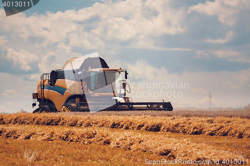 Image of Yellov harvester on field harvesting gold wheat