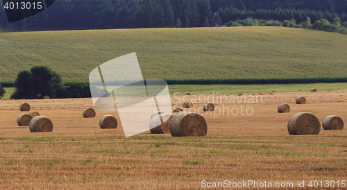 Image of harvested field with straw bales in summer