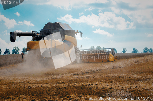 Image of Yellov harvester on field harvesting gold wheat