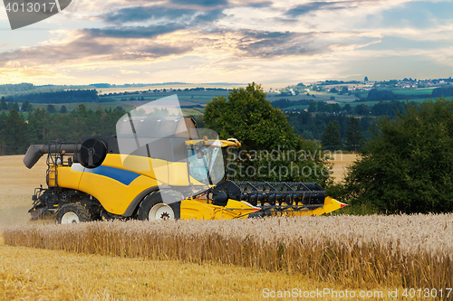 Image of Yellov harvester on field harvesting gold wheat