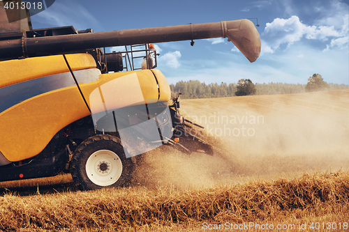 Image of Yellov harvester on field harvesting gold wheat