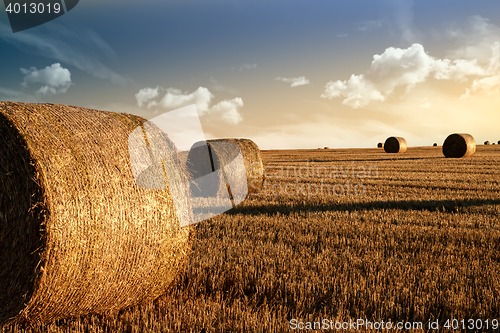 Image of harvested field with straw bales in summer