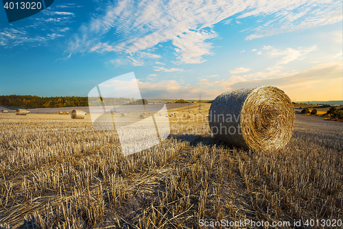 Image of harvested field with straw bales in summer