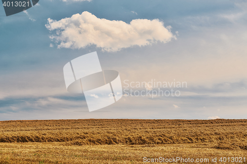 Image of harvested field fith cloud on blue sky