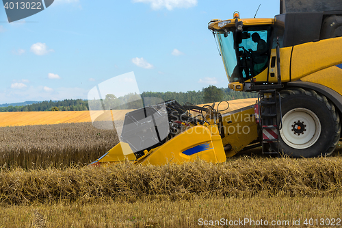 Image of Yellov harvester on field harvesting gold wheat