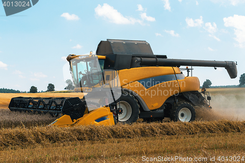 Image of Yellov harvester on field harvesting gold wheat