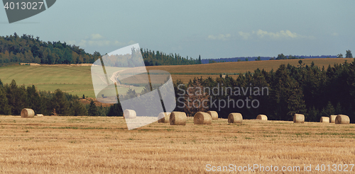 Image of harvested field with straw bales in summer