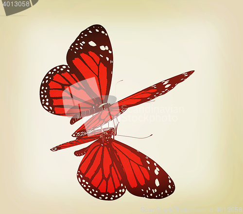 Image of Butterfly. 3D illustration. Vintage style.