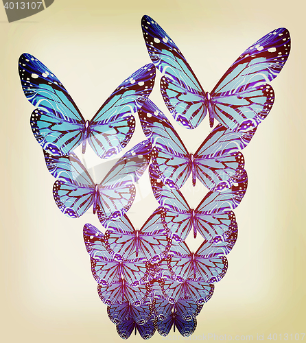 Image of Butterflies. 3D illustration. Vintage style.