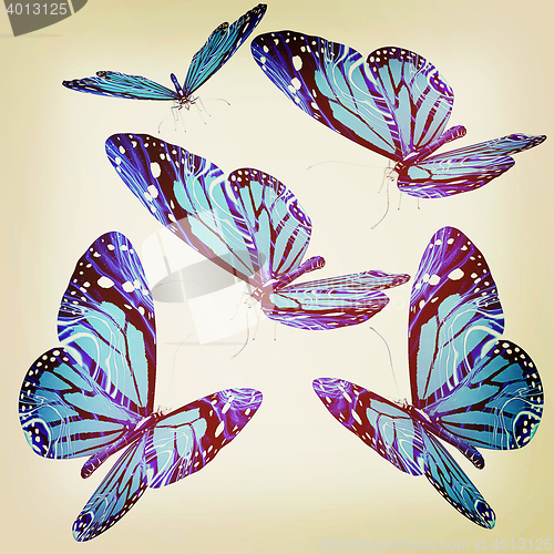 Image of Butterflies. 3D illustration. Vintage style.