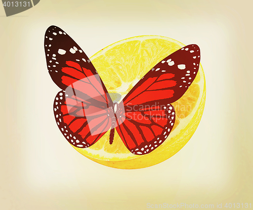 Image of Red butterflys on a half oranges. 3D illustration. Vintage style