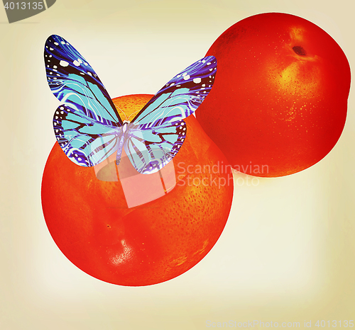 Image of Blue butterflys on a fresh peaches. 3D illustration. Vintage sty