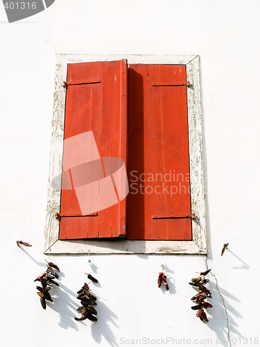Image of Red Window and peppers