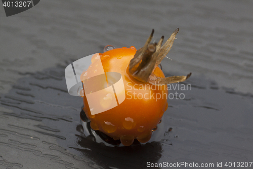 Image of wet tomato