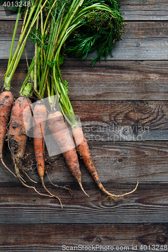 Image of raw carrots on the ground