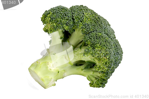 Image of Closeup of broccoli