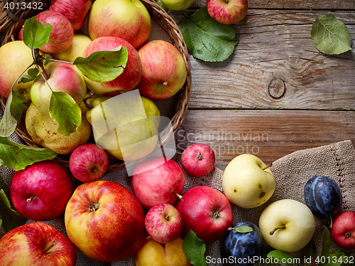 Image of beautiful autumn fruits