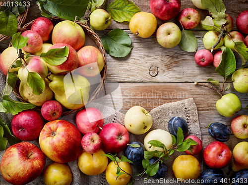 Image of various fresh fruits