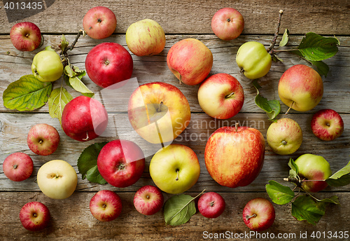 Image of various kinds of apples