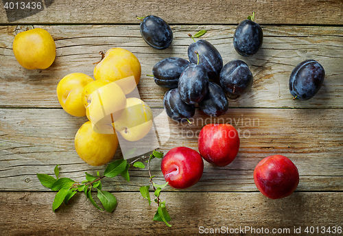 Image of various kinds of fresh plums
