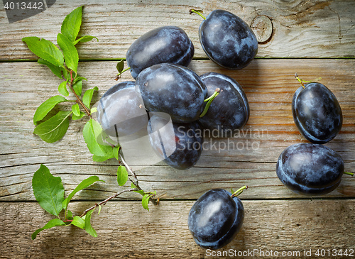 Image of fresh blue plums