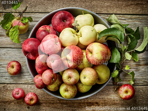 Image of plate of various fresh apples