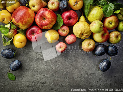 Image of various fresh fruits