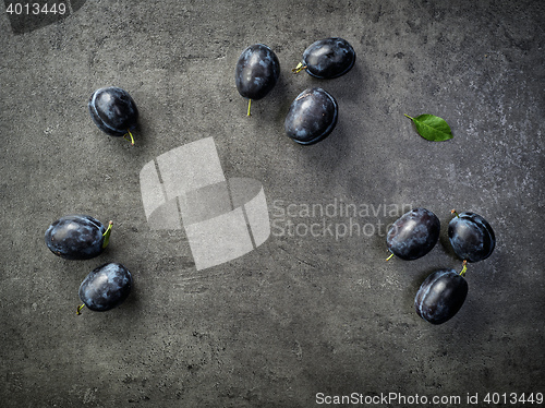 Image of blue plums on dark background