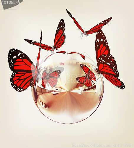 Image of Red butterfly on a chrome reflective sphere. 3D illustration. Vi