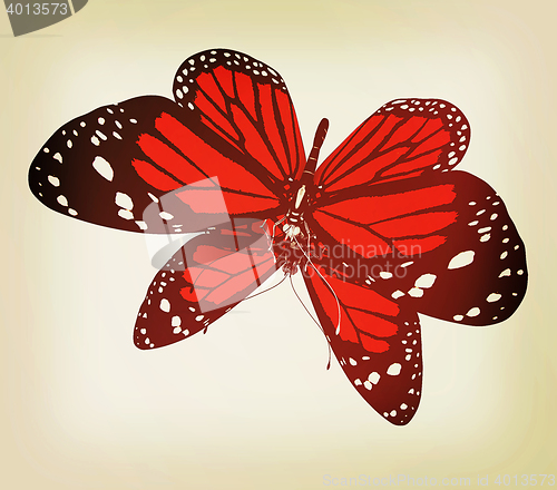 Image of Butterfly. 3D illustration. Vintage style.