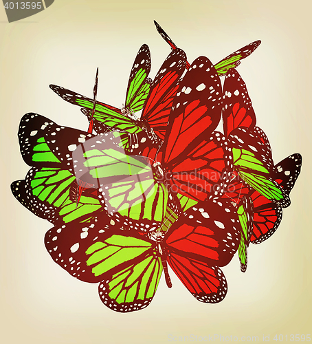 Image of Butterflies. 3D illustration. Vintage style.