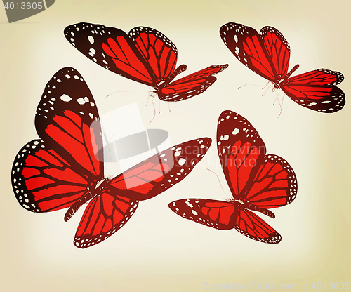 Image of Butterflies. 3D illustration. Vintage style.