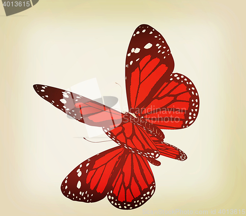 Image of Butterfly. 3D illustration. Vintage style.